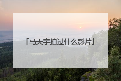 马天宇拍过什么影片