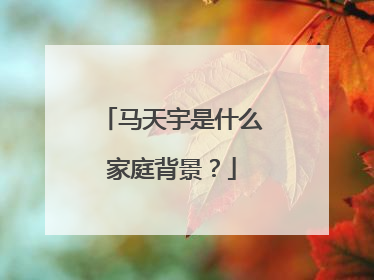 马天宇是什么家庭背景？