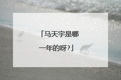 马天宇是哪一年的呀?