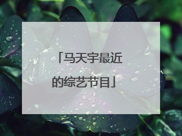 马天宇最近的综艺节目