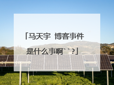 马天宇 博客事件 是什么事啊``?