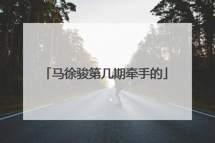 马徐骏第几期牵手的