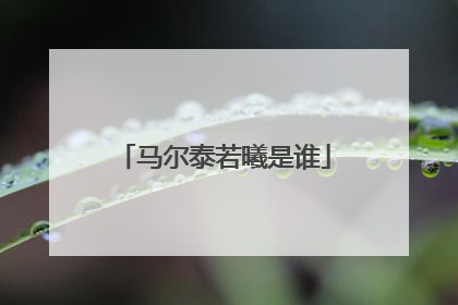 马尔泰若曦是谁