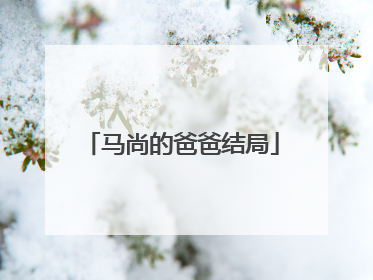 马尚的爸爸结局