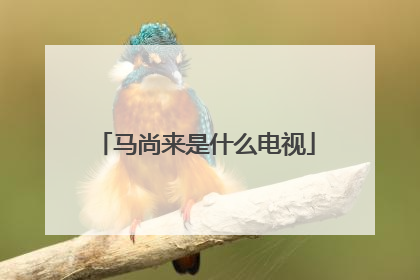 马尚来是什么电视