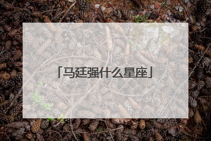 马廷强什么星座