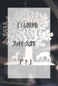 马思纯为什么胖了？