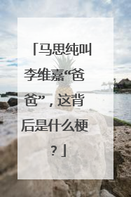 马思纯叫李维嘉“爸爸”,这背后是什么梗?