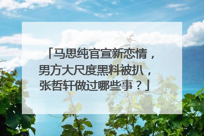 马思纯官宣新恋情，男方大尺度黑料被扒，张哲轩做过哪些事？