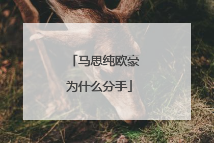 马思纯欧豪为什么分手