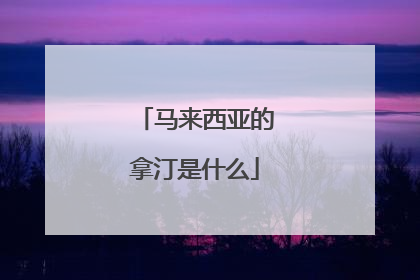 马来西亚的拿汀是什么