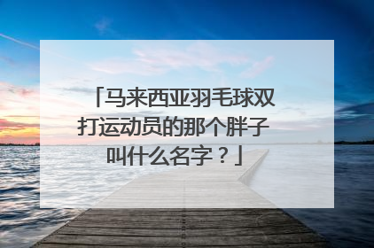马来西亚羽毛球双打运动员的那个胖子叫什么名字？