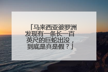马来西亚婆罗洲发现有一条长一百英尺的巨蛇出没，到底是真是假？