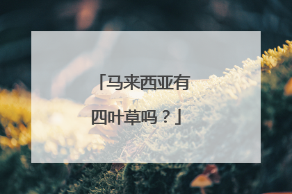 马来西亚有四叶草吗?