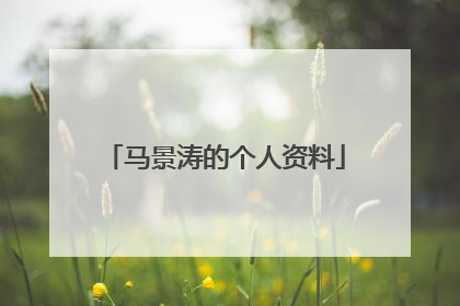 马景涛的个人资料
