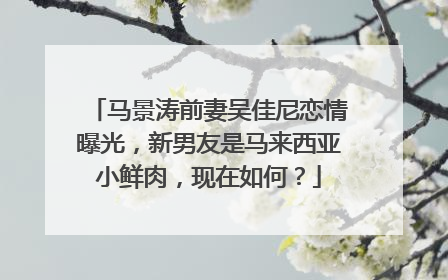 马景涛前妻吴佳尼恋情曝光，新男友是马来西亚小鲜肉，现在如何？