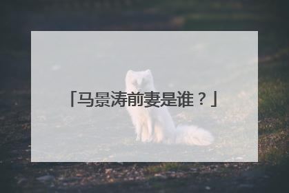 马景涛前妻是谁?