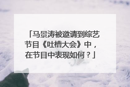 马景涛被邀请到综艺节目《吐槽大会》中，在节目中表现如何？