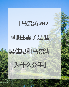 马景涛2020现任妻子是谁吴佳尼和马景涛为什么分手