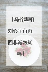 马梓惠和刘心宇有再回非诚勿扰吗