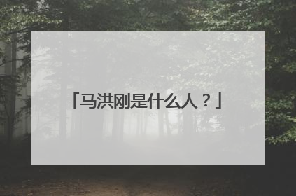 马洪刚是什么人？