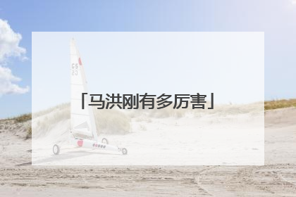 马洪刚有多厉害