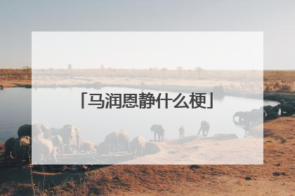 马润恩静什么梗