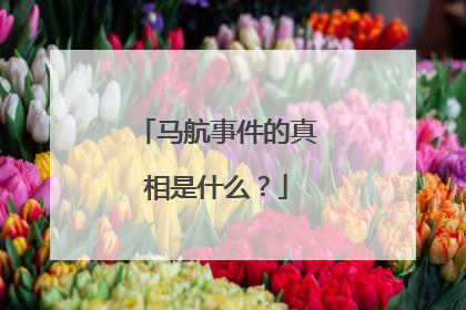 马航事件的真相是什么?