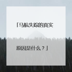 马航失踪的真实原因是什么？