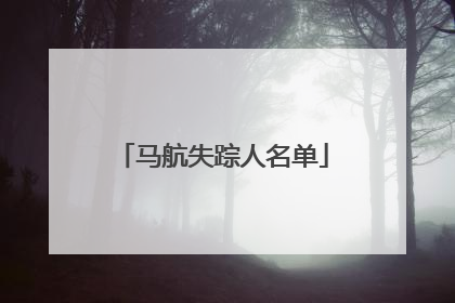 马航失踪人名单