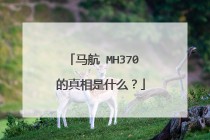 马航 MH370 的真相是什么?