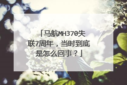 马航MH370失联7周年,当时到底是怎么回事?