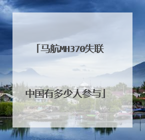 马航MH370失联中国有多少人参与