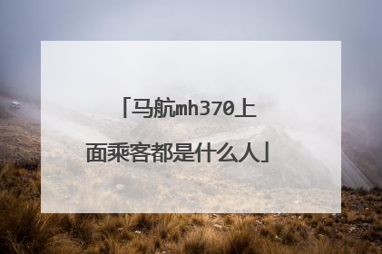 马航mh370上面乘客都是什么人