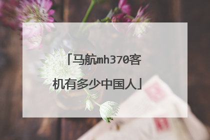 马航mh370客机有多少中国人