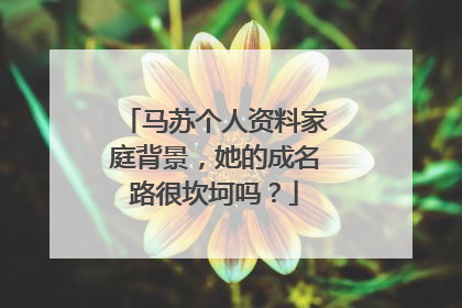 马苏个人资料家庭背景,她的成名路很坎坷吗?