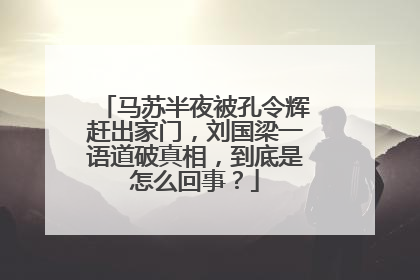 马苏半夜被孔令辉赶出家门，刘国梁一语道破真相，到底是怎么回事？