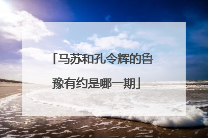 马苏和孔令辉的鲁豫有约是哪一期