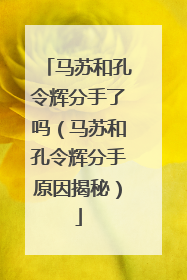 马苏和孔令辉分手了吗(马苏和孔令辉分手原因揭秘)