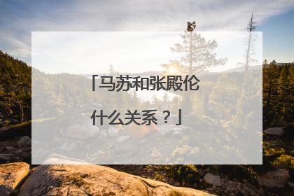 马苏和张殿伦什么关系?