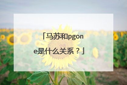 马苏和pgone是什么关系？