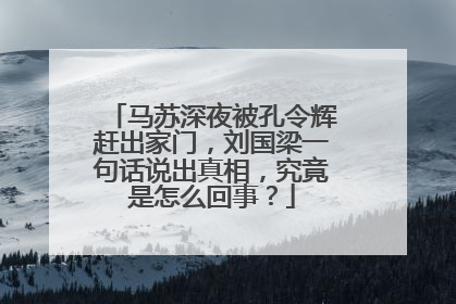 马苏深夜被孔令辉赶出家门，刘国梁一句话说出真相，究竟是怎么回事？