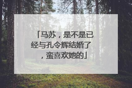 马苏，是不是已经与孔令辉结婚了，蛮喜欢她的