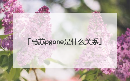 马苏pgone是什么关系