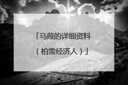 马葭的详细资料(柏雪经济人)