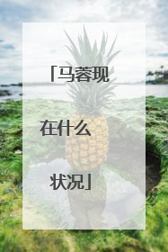 马蓉现在什么 状况