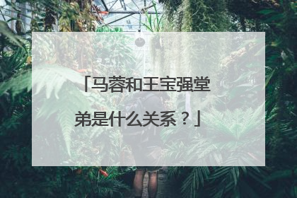马蓉和王宝强堂弟是什么关系？
