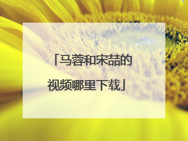 马蓉和宋喆的视频哪里下载