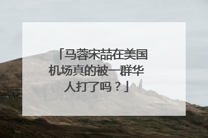 马蓉宋喆在美国机场真的被一群华人打了吗?