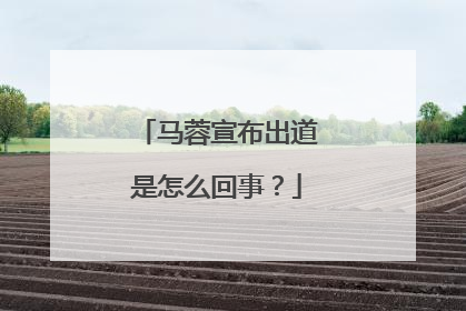 马蓉宣布出道是怎么回事？